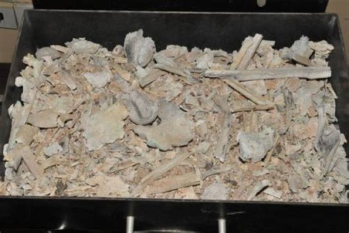 Are cremation ashes just bones?
