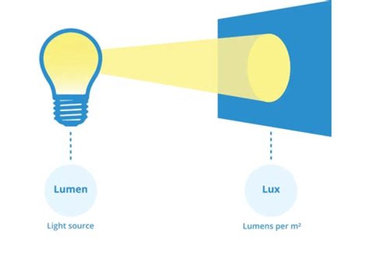 Does more light equal more yield?