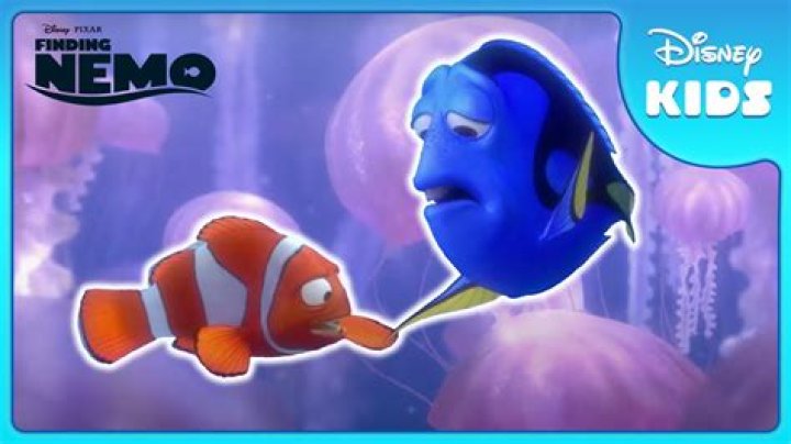 How did Dory get lost?