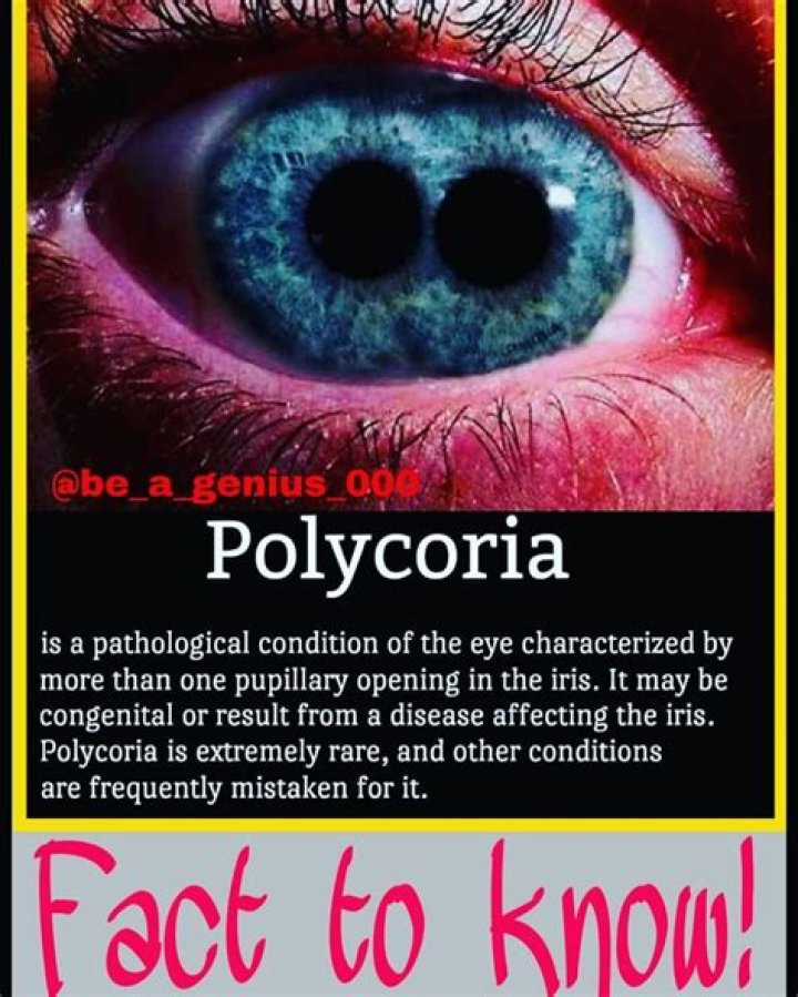 What causes Polycoria?