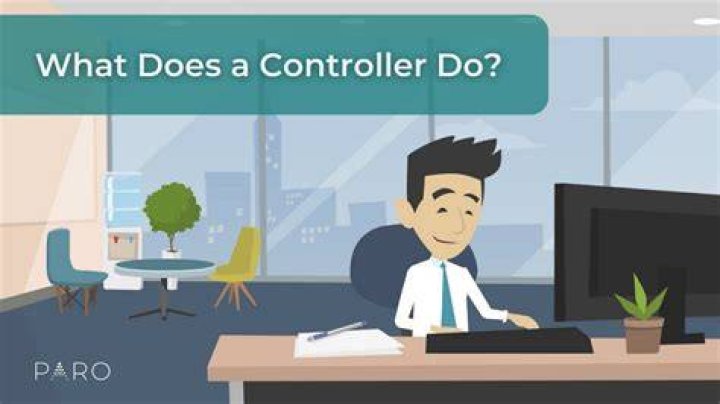 What does a controller do at a small company?