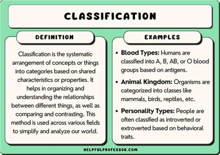 What is s classification?