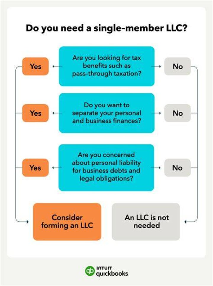 When does a LLC have only one owner?