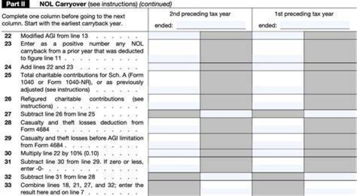Where do I report NOL carryover on 1040?